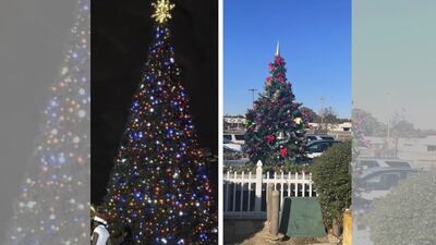 Christmas controversy takes root in Whitehaven