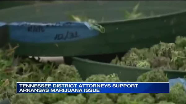 Shelby County D.A. supports legalizing marijuana in Arkansas