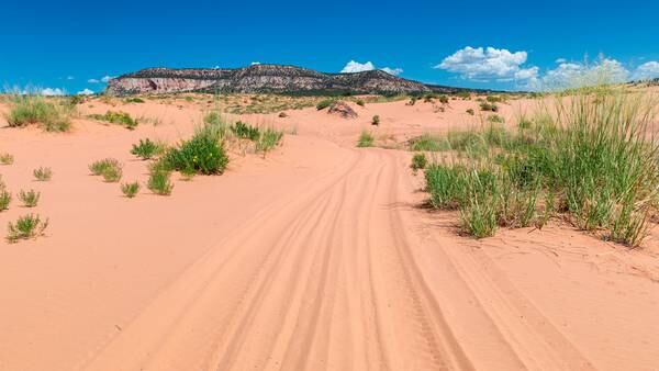 Teen dead after being buried under sand dune at a Utah state park