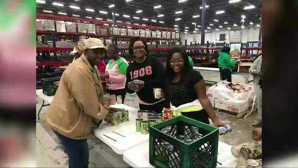 AKA Mid-South chapters recognize 113 years of service with joint celebration 