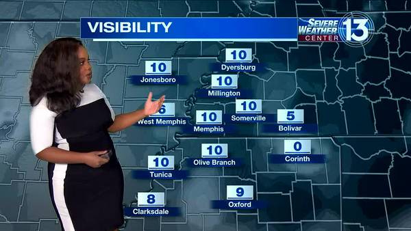WATCH: FOX13's Friday Early Morning Weather Forecast