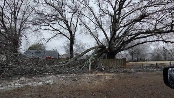 PHOTOS: Damage from Mid-South Ice Storm