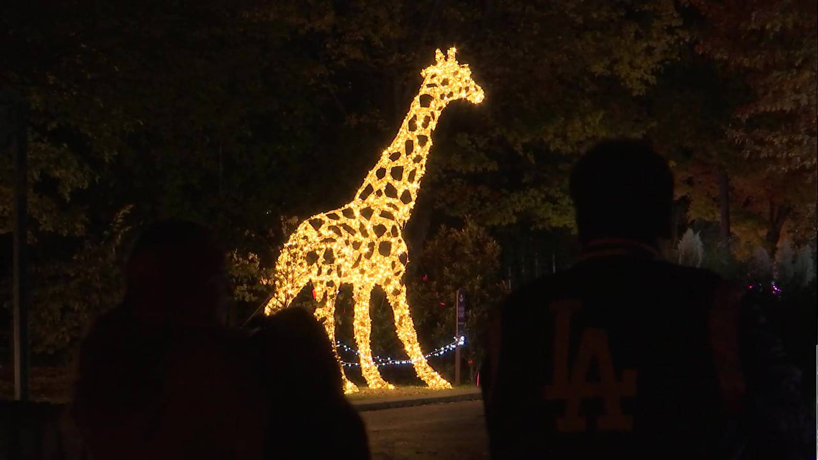 PHOTOS Zoo Lights returns to the Memphis Zoo FOX13 News Memphis