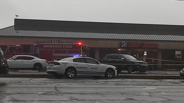 WATCH: 3 teens shot near Baskin Robbins, Little Caesars in Memphis, police say