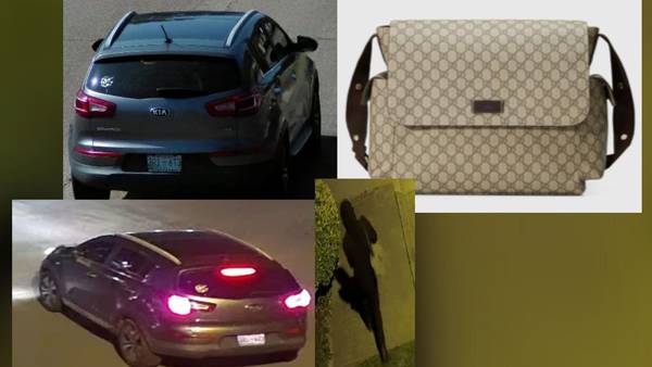 Car burglar steals Gucci diaper bag worth $1.4K, police say