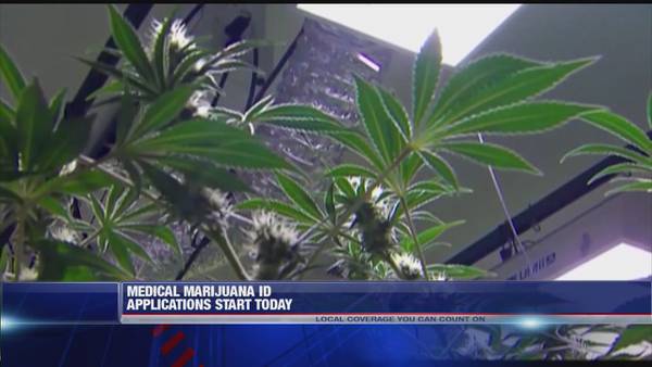 Medical marijuana ID applications start today in Arkansas