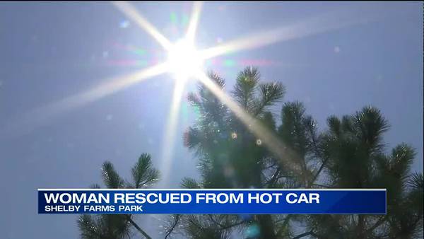 WATCH: Good Samaritans rescue woman from hot car while caretaker strolls around park