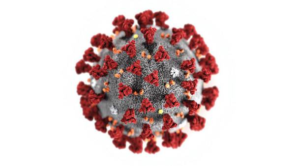 Coronavirus: Total US COVID-19 cases top 65M; Florida becomes 3rd state to top 5M infections 