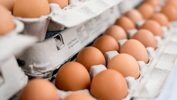 WATCH: You could soon see cheaper eggs at the grocery store