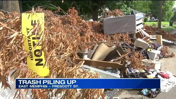 Trash problems continue piling up in Memphis