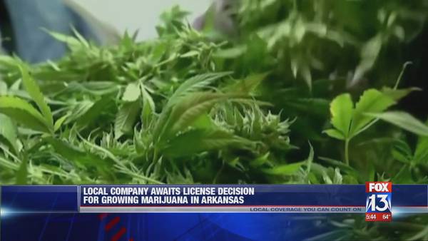 Licenses to be handed out for medical marijuana use in Arkansas Tuesday