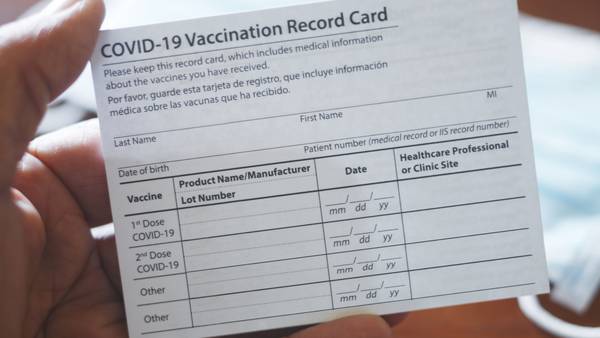 Bills fans arrested after bragging about using fake vaccine cards to attend game