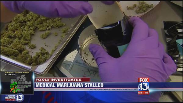 A year later: Medical marijuana stalled in Arkansas