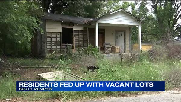 South Memphis community looking to get rid of blight and clean up neighborhood