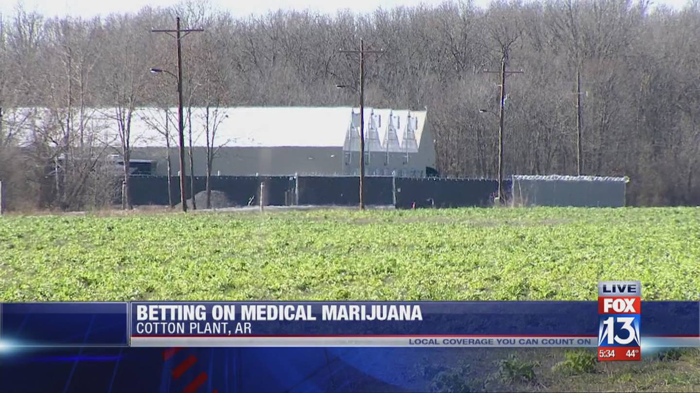 An inside look at Arkansas' first medical marijuana cultivation facility ...