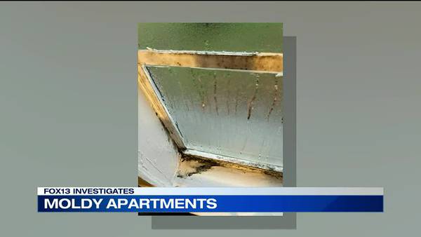 WATCH: FOX13 Investigates moldy apartments & what you can do