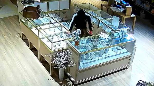WATCH: Men steal jewelry in Tate Jewelers burglary, police say