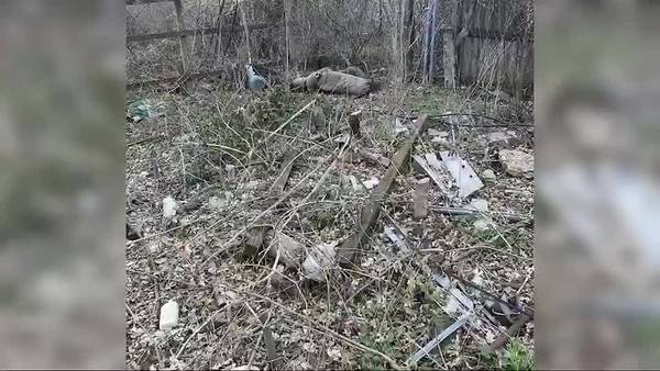 Confusion about who should deal with issues of blight in alleyway
