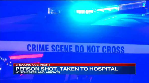 Woman shot overnight in Whitehaven, officials say