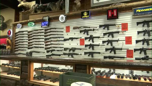 Lawmakers question CEOs of gun manufacturers in wake of mass shootings