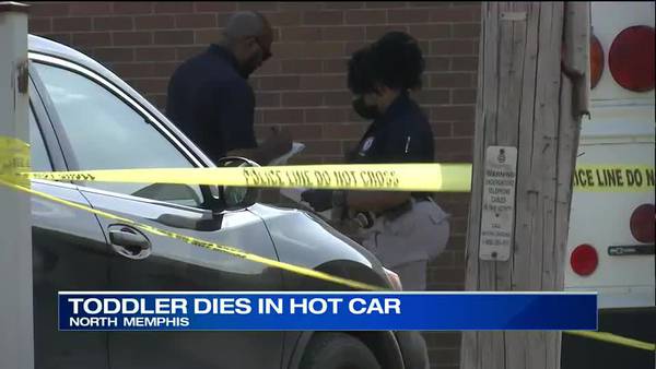 WATCH: 1-year-old dies after being left in hot car at daycare