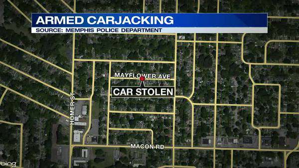 WATCH: Two people grazed by bullets during carjacking, robbery, police say