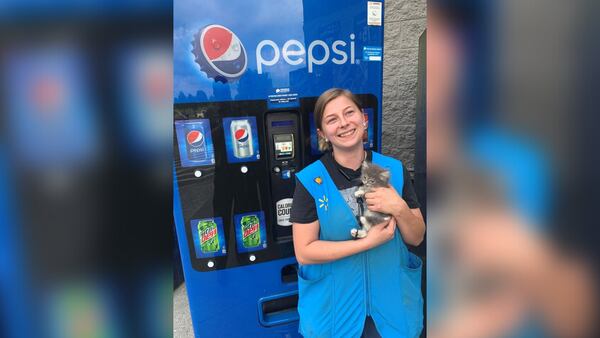 Kitten rescued from a Tennessee Walmart vending machine