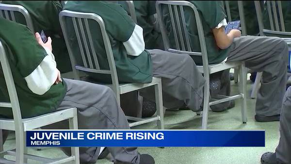WATCH: Juvenile crime rising in Shelby County