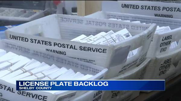 WATCH: LICENSE PLATE BACKLOG: Clerk’s office needs more resources to keep up with demand, Halbert says