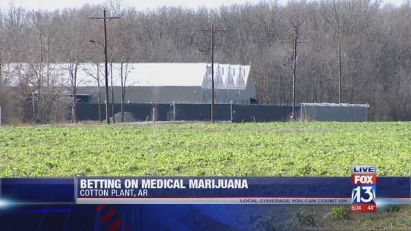 An inside look at Arkansas' first medical marijuana cultivation facility