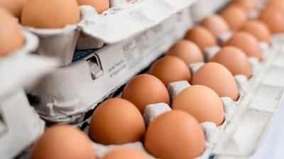 You could soon see cheaper eggs at the grocery store  