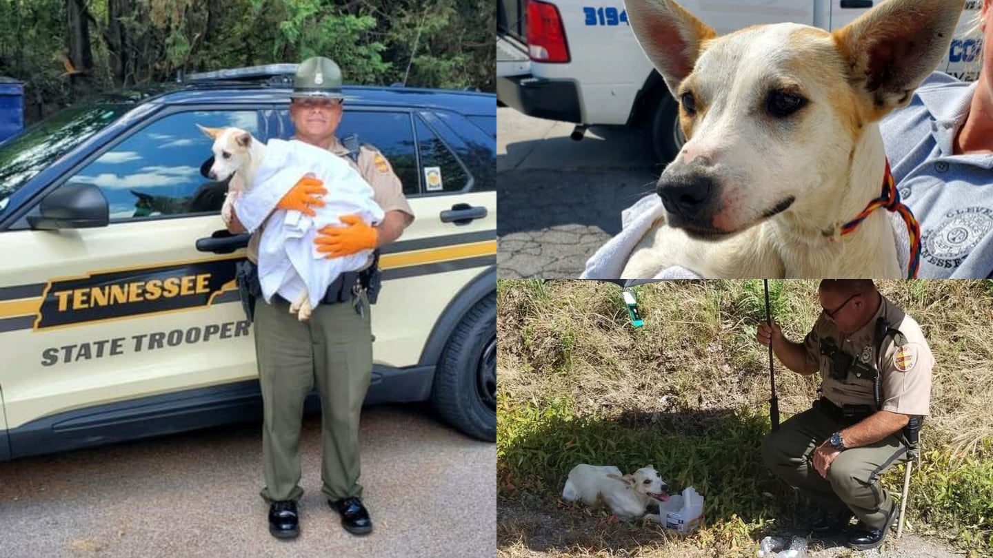 Tennessee Highway Patrol trooper adopts dog he rescued from the heat