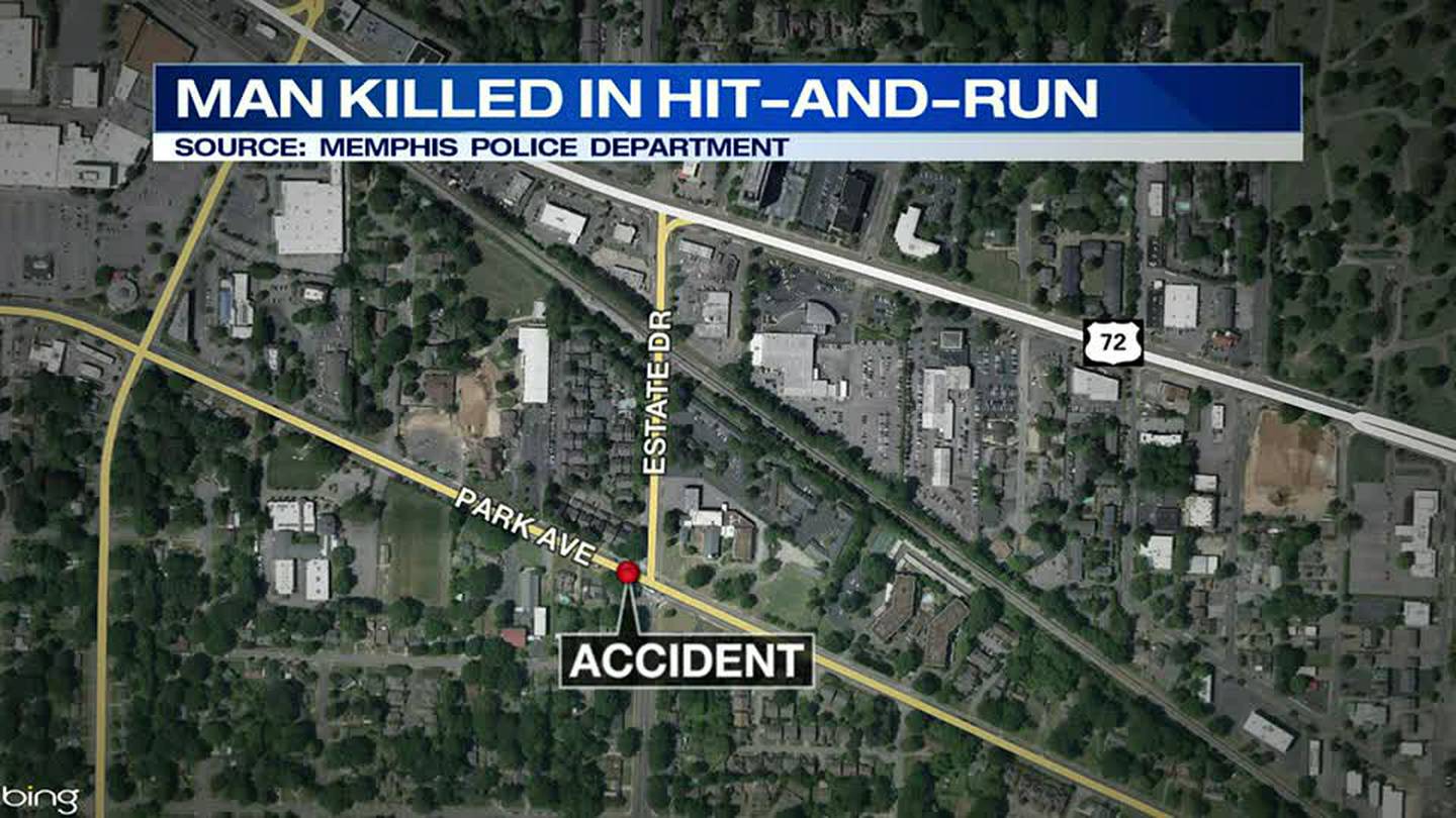 Man dead after hit-and-run accident overnight, police say | Flipboard