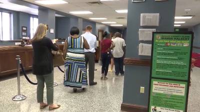 Shelby County Clerk systems back online after statewide system issues, Halbert says