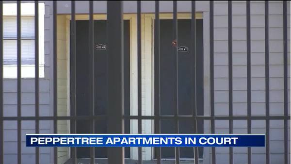 WATCH: City leaders calling Peppertree Apartments a public nuisance